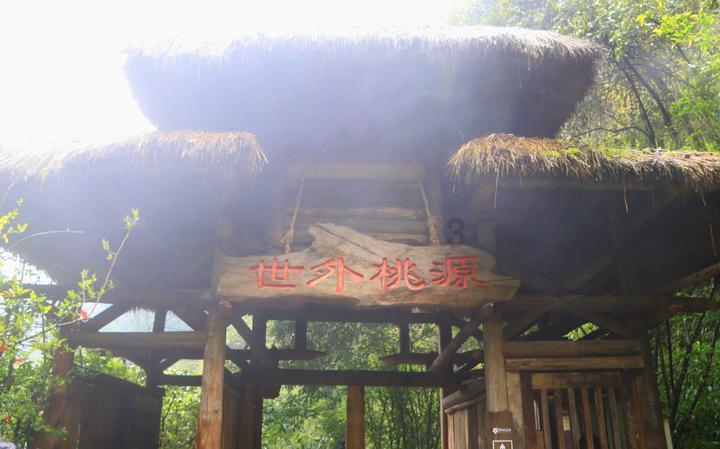 解决问题尽在长时间吃方便面,到底是会长胖,还是变瘦?,一问一答解疑释惑